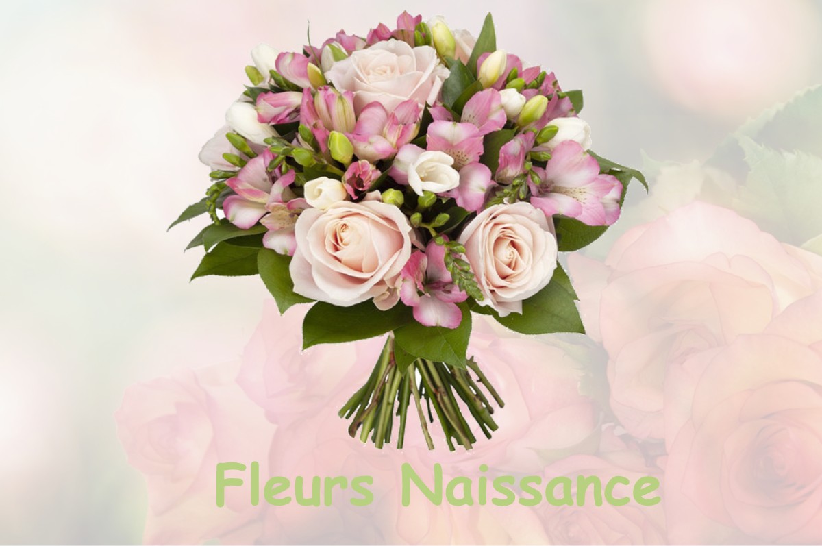 fleurs naissance CAMPAGNE-LES-GUINES